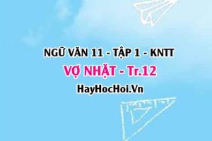 Soạn bài Vợ nhặt trang 12 Ngữ văn lớp 11 Kết nối tri thức tập 1